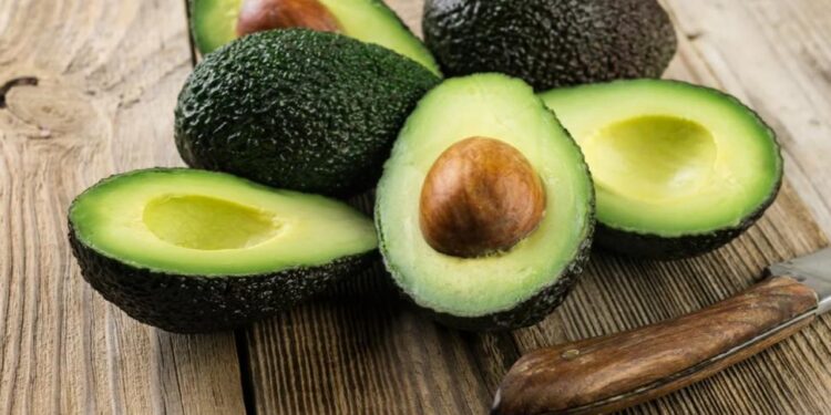 Investigadoras de la UNT preservan la palta con irradiación ultravioleta