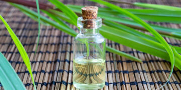 Cuál es la planta medicinal que sirve como repelente casero para ahuyentar los mosquitos