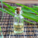 Cuál es la planta medicinal que sirve como repelente casero para ahuyentar los mosquitos