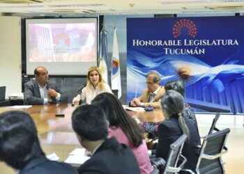 Presentan un proyecto que declara la Emergencia en Derechos del Niño