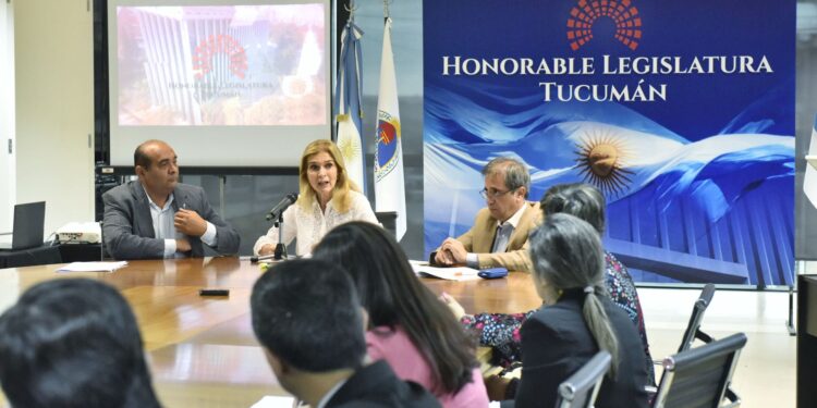 Presentan un proyecto que declara la Emergencia en Derechos del Niño
