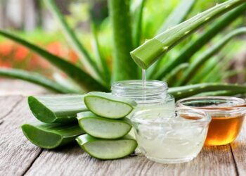 Cuál es la planta de la longevidad que estimula la producción de colágeno y rejuvenece la piel