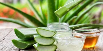 Cuál es la planta de la longevidad que estimula la producción de colágeno y rejuvenece la piel