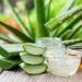 Cuál es la planta de la longevidad que estimula la producción de colágeno y rejuvenece la piel