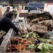 En 2023, la pobreza llegó al 41,7% de la población y alcanzó a 19,4 millones de personas en todo el país