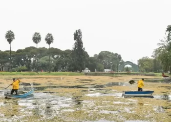 Quince toneladas de basura retiran del Lago San Miguel para su recuperación
