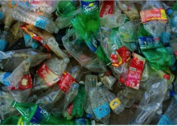 Greenpeace revela cuál es la línea de gaseosa que más contamina con las botellas de plástico
