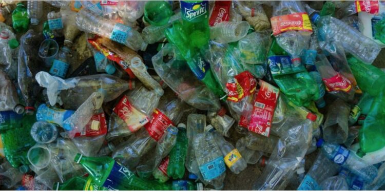 Greenpeace revela cuál es la línea de gaseosa que más contamina con las botellas de plástico
