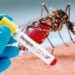 Brote histórico de dengue en Argentina: ya son 280 los fallecidos y hubo más de 396 mil casos