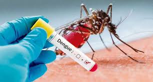 Brote histórico de dengue en Argentina: ya son 280 los fallecidos y hubo más de 396 mil casos