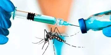 El Gobierno ratificó que no incluirá la vacuna contra el dengue en el calendario obligatorio