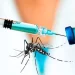 El Gobierno ratificó que no incluirá la vacuna contra el dengue en el calendario obligatorio