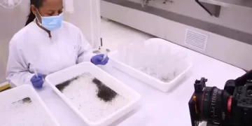Cómo es la técnica que analiza el Ministerio de Salud para ponerle fin al flagelo del dengue en Tucumán