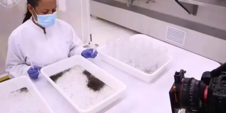 Cómo es la técnica que analiza el Ministerio de Salud para ponerle fin al flagelo del dengue en Tucumán