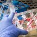 Desarrollan una vacuna que “reprograma” el sistema inmune de pacientes con cáncer
