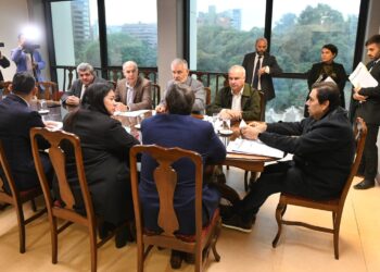 Legislatura: Se archivó el pedido de destitución contra una Camarista