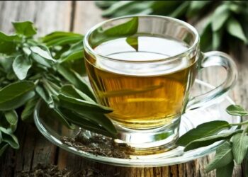 El té de ruda no es apto para niños