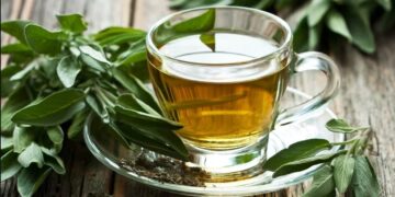 El té de ruda no es apto para niños