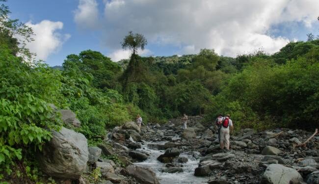 Financian planes de conservación para la restauración de bosques