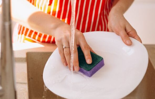 Investigación revela que las esponjas de cocina liberan millones de microplásticos