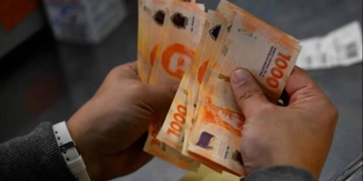 El Gobierno fijó el Salario Mínimo Vital y Móvil