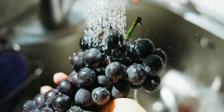 La forma más efectiva de lavar frutas y verduras según la ciencia