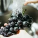 La forma más efectiva de lavar frutas y verduras según la ciencia