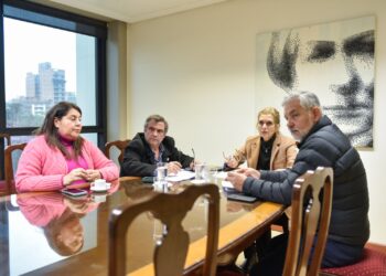 La Legislatura creará un portal web de participación ciudadana