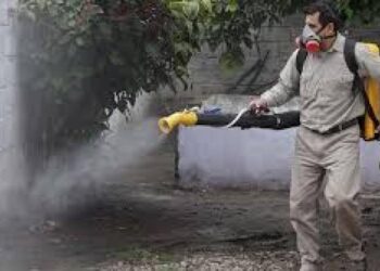 Presentan el Plan Provincial contra el Dengue: vacunación, fumigación y descacharreo