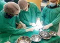 Realizan con éxito un implante de válvula pulmonar a un niño de 8 años en Tucumán