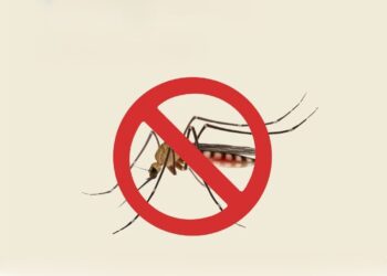 Tucumán alcanza 80 días sin dengue, pero refuerzan la prevención ante la llegada del calor