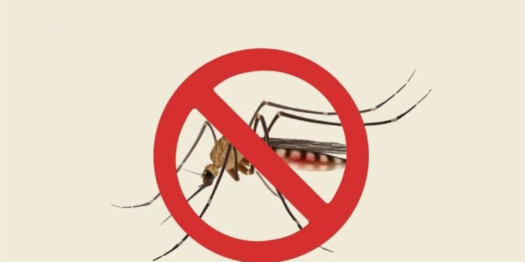 Tucumán alcanza 80 días sin dengue, pero refuerzan la prevención ante la llegada del calor