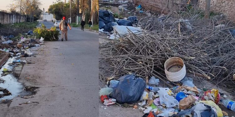 Vecinos le reclaman a la Municipalidad que erradiquen un basural que es foco infeccioso