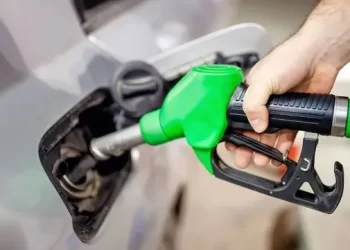 El Gobierno Nacional autorizó un aumento del 2% en el precio de los biocombustibles
