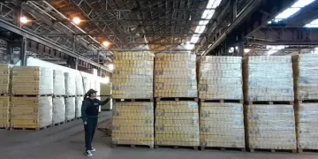 Distribuyen 117 toneladas de alimentos de Nación en escuelas vulnerables de Tucumán