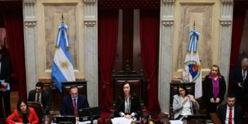Debate en el Senado: Boleta única, financiamiento universitario y DNU de la SIDE