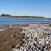 La Subsecretaría de Medio Ambiente investiga la mortandad de peces