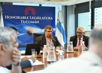 HLT: Abad presentó un informe detallado sobre el presupuesto 2025