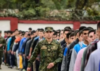 Servicio Cívico: de qué se trata, quiénes pueden anotarse, cuánto dura y cómo se implementará