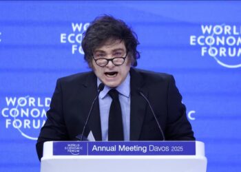 Javier Milei participó en el Foro Económico Mundial, destacó los avances de Argentina y cuestionó el progresismo global.