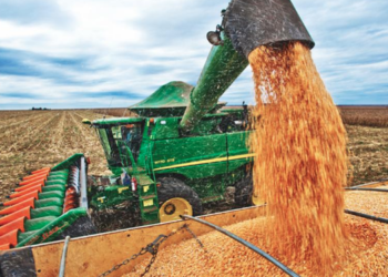 El Gobierno oficializó la baja de retenciones al campo y eliminó los impuestos para economías regionales