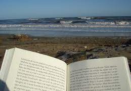Cinco libros ideales para leer en la playa o la piscina