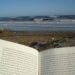 Cinco libros ideales para leer en la playa o la piscina