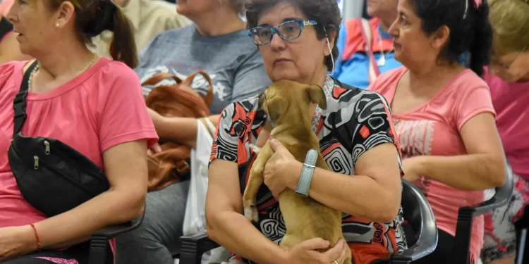 Casi 100 animales de compañía ya fueron adoptados gracias a la campaña de adopción responsable del Municipio