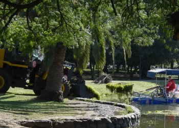 El Municipio intensifica los operativos en el Parque 9 de Julio para preservar el ecosistema