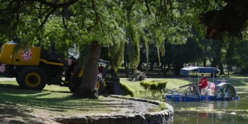 El Municipio intensifica los operativos en el Parque 9 de Julio para preservar el ecosistema