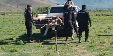Jaldo insiste en el respeto a la propiedad privada para terminar con las usurpaciones en Tucumán