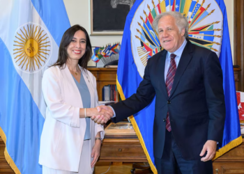 Milei despide a Sonia Cavallo de la Embajada ante la OEA tras las críticas de Domingo Cavallo