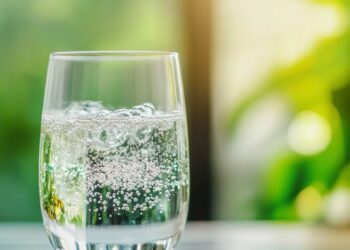 Mitos y verdades sobre el agua con y sin gas: ¿Cuál es mejor para la salud?