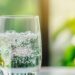 Mitos y verdades sobre el agua con y sin gas: ¿Cuál es mejor para la salud?